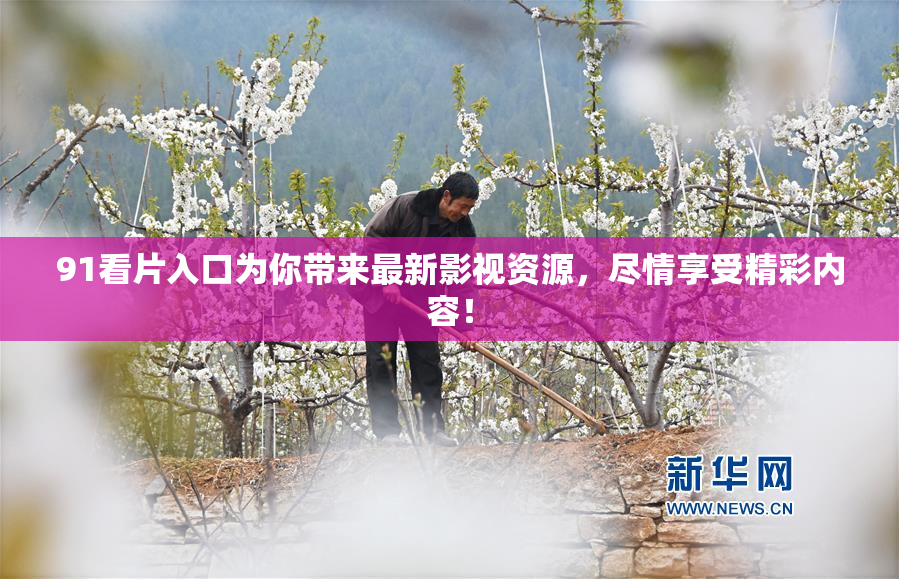 91看片入口为你带来最新影视资源，尽情享受精彩内容！