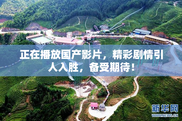 正在播放国产影片，精彩剧情引人入胜，备受期待！