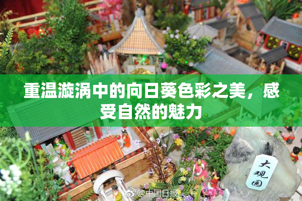 重温漩涡中的向日葵色彩之美，感受自然的魅力