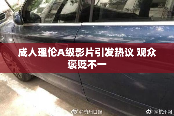 成人理伦A级影片引发热议 观众褒贬不一