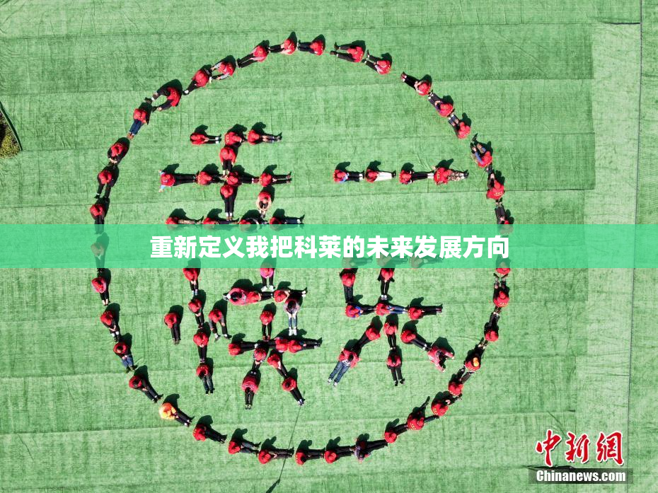重新定义我把科莱的未来发展方向