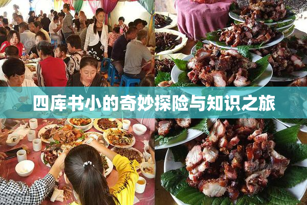 四库书小的奇妙探险与知识之旅