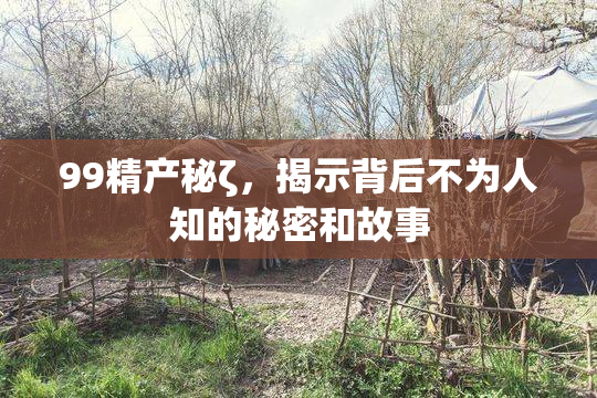99精产秘ζ，揭示背后不为人知的秘密和故事