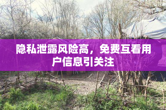 隐私泄露风险高，免费互看用户信息引关注