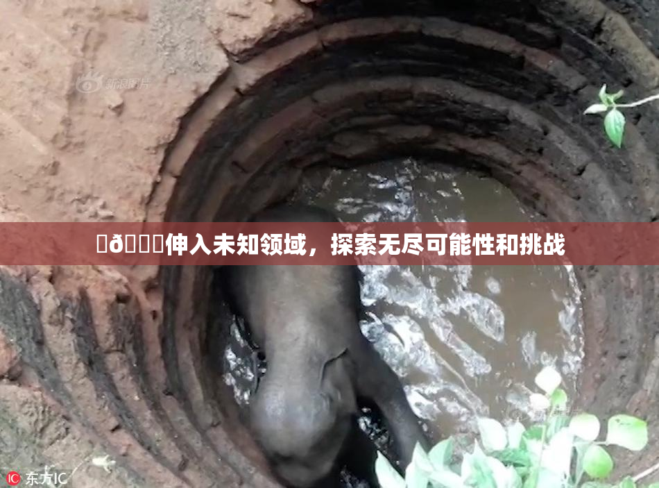 ‌🍌伸入未知领域，探索无尽可能性和挑战