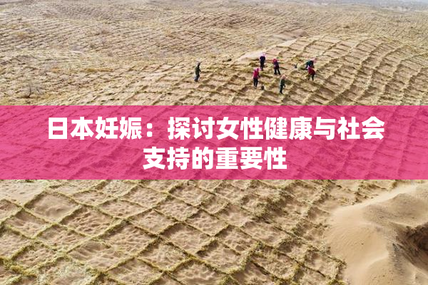 日本妊娠：探讨女性健康与社会支持的重要性