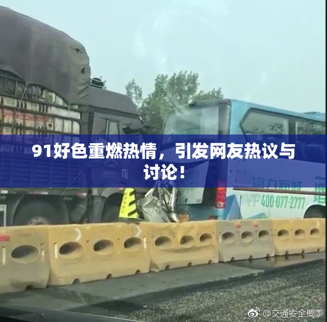 91好色重燃热情，引发网友热议与讨论！