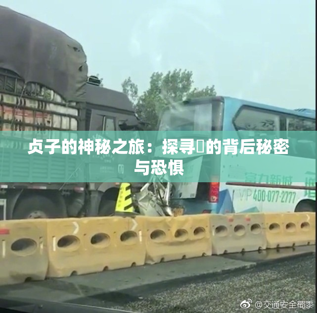 贞子的神秘之旅：探寻婬的背后秘密与恐惧