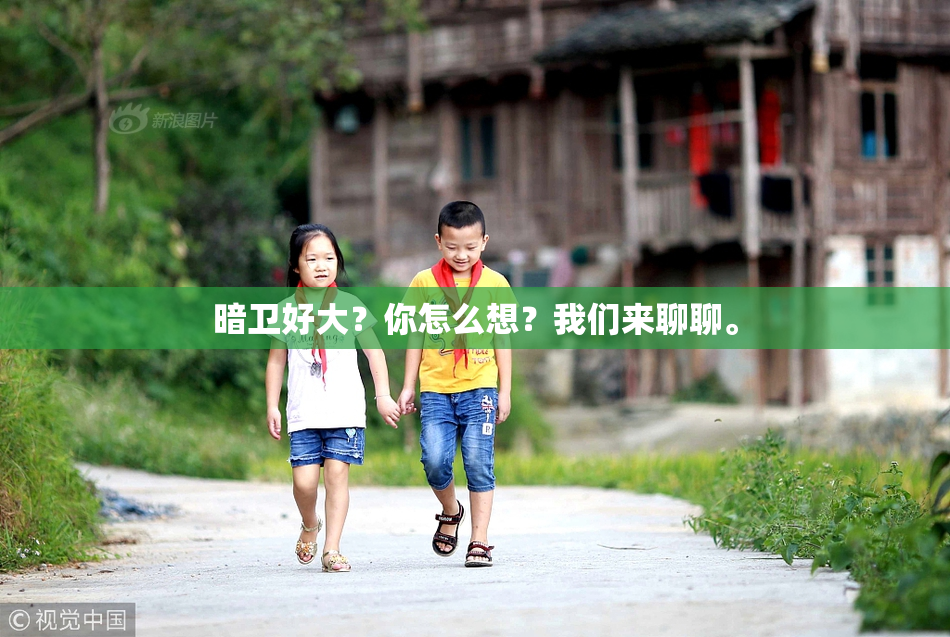 暗卫好大？你怎么想？我们来聊聊。
