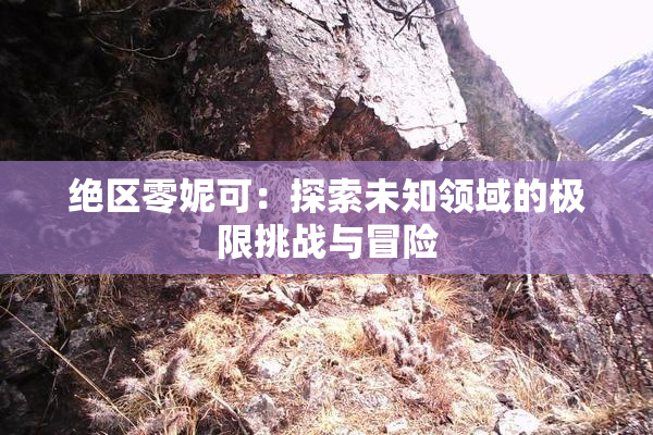 绝区零妮可：探索未知领域的极限挑战与冒险