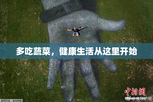多吃蔬菜，健康生活从这里开始