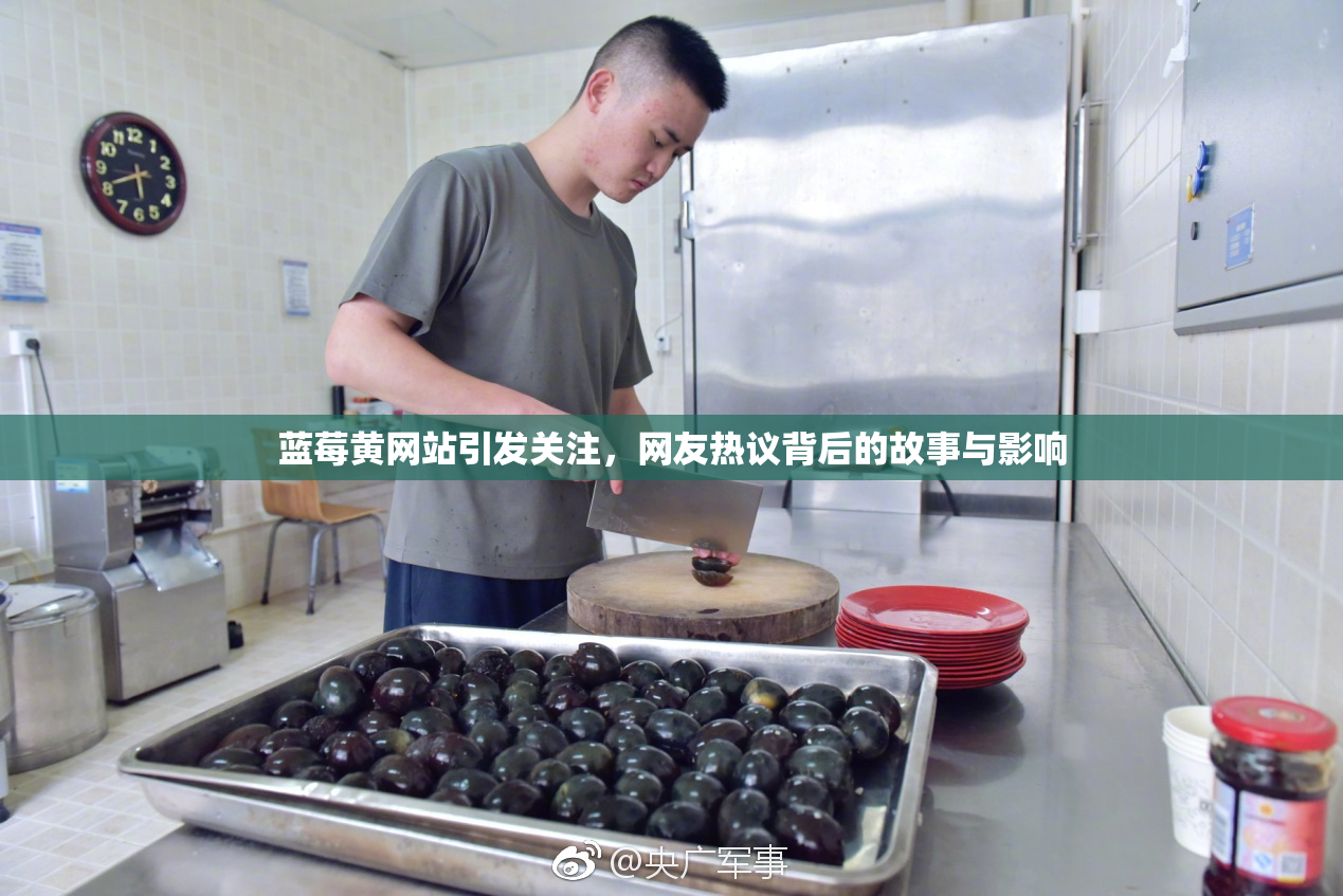 蓝莓黄网站引发关注，网友热议背后的故事与影响