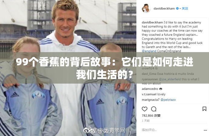 99个香蕉的背后故事：它们是如何走进我们生活的？