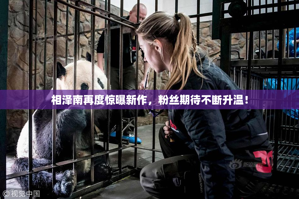 相泽南再度惊曝新作，粉丝期待不断升温！