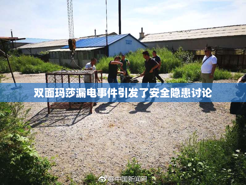 双面玛莎漏电事件引发了安全隐患讨论