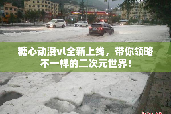 糖心动漫vl全新上线，带你领略不一样的二次元世界！