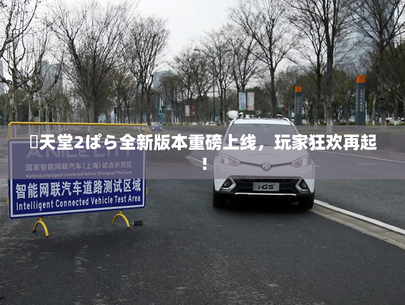 妺天堂2ぱら全新版本重磅上线，玩家狂欢再起！