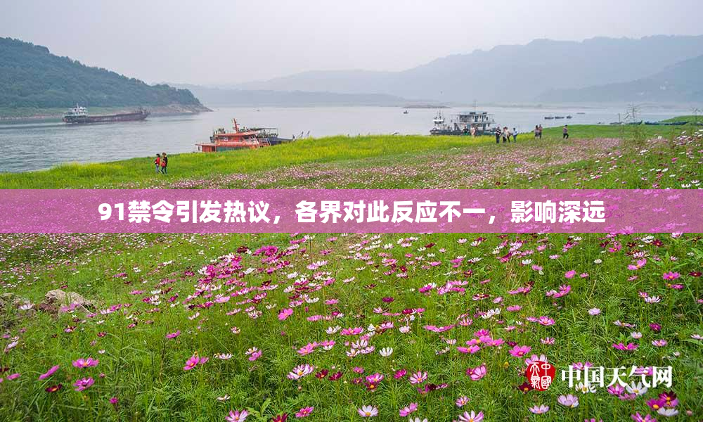 91禁令引发热议，各界对此反应不一，影响深远