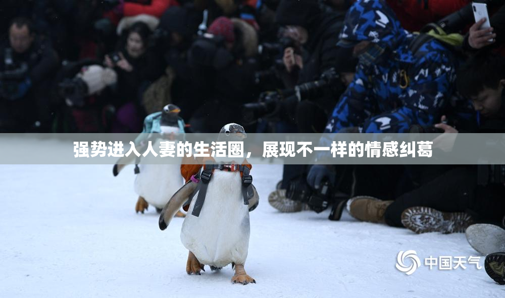 强势进入人妻的生活圈，展现不一样的情感纠葛