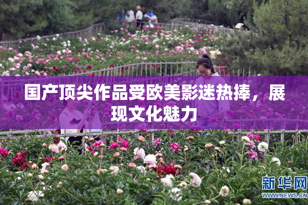 国产顶尖作品受欧美影迷热捧，展现文化魅力