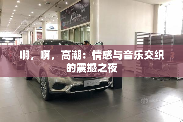啊，啊，高潮：情感与音乐交织的震撼之夜