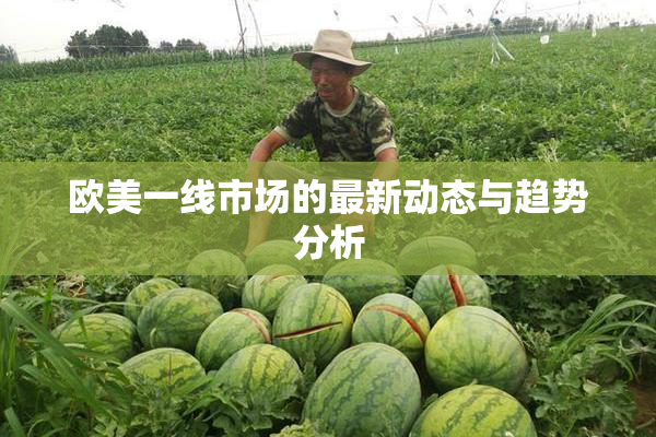欧美一线市场的最新动态与趋势分析