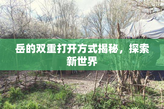 岳的双重打开方式揭秘，探索新世界