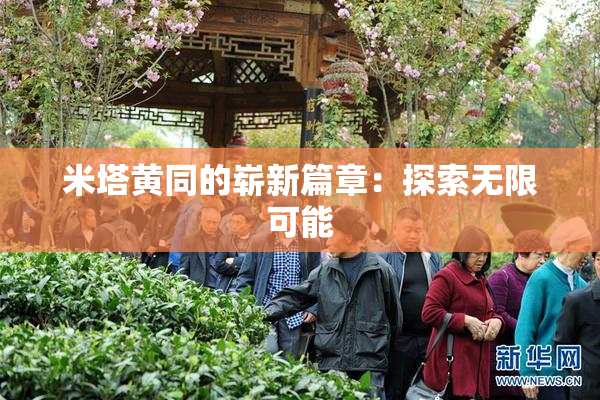 米塔黄同的崭新篇章：探索无限可能