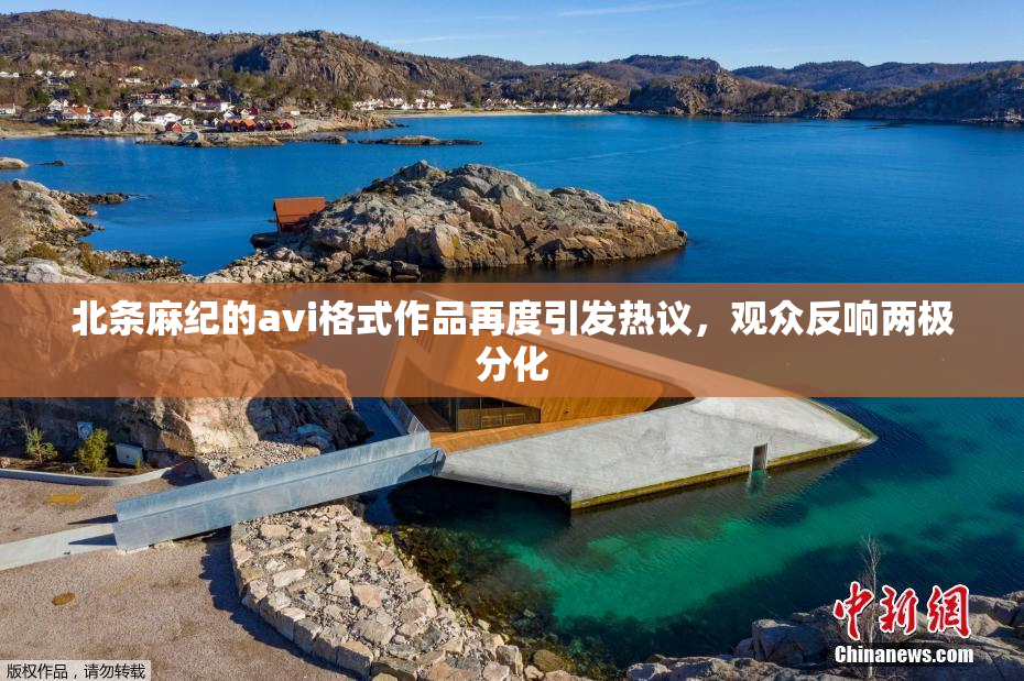 北条麻纪的avi格式作品再度引发热议，观众反响两极分化