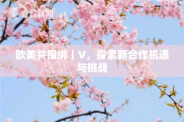 欧美共捆绑丨V，探索新合作机遇与挑战