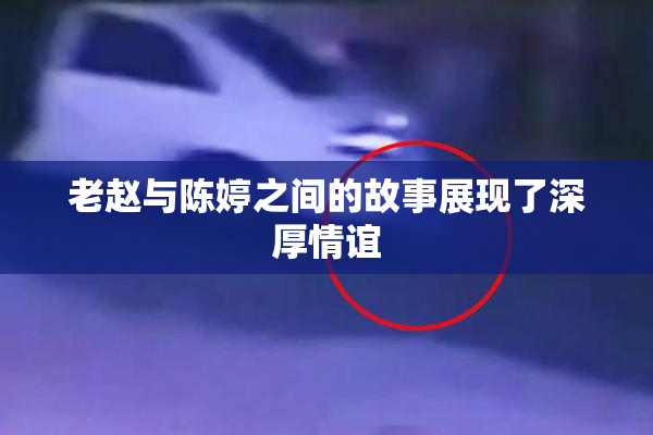 老赵与陈婷之间的故事展现了深厚情谊