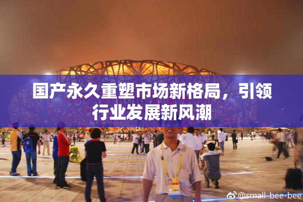 国产永久重塑市场新格局，引领行业发展新风潮