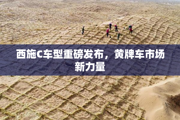 西施C车型重磅发布，黄牌车市场新力量
