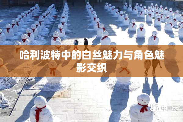 哈利波特中的白丝魅力与角色魅影交织