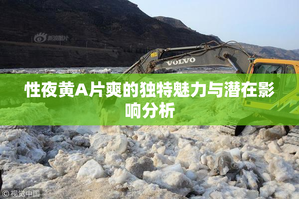 性夜黄A片爽的独特魅力与潜在影响分析