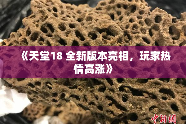 《天堂18 全新版本亮相，玩家热情高涨》