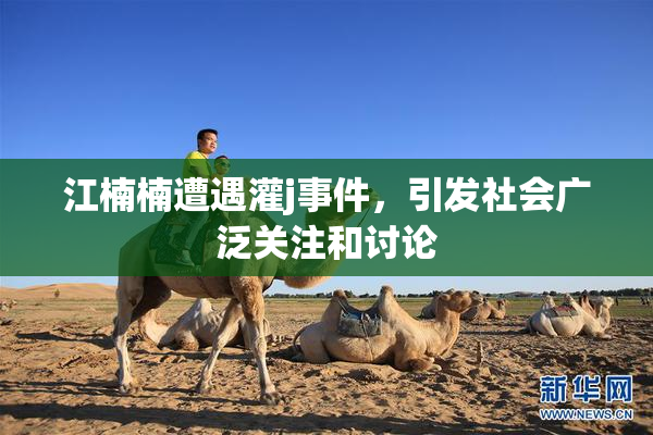 江楠楠遭遇灌j事件，引发社会广泛关注和讨论