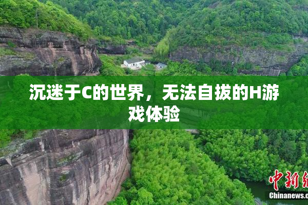 沉迷于C的世界，无法自拔的H游戏体验