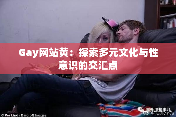 Gay网站黄：探索多元文化与性意识的交汇点