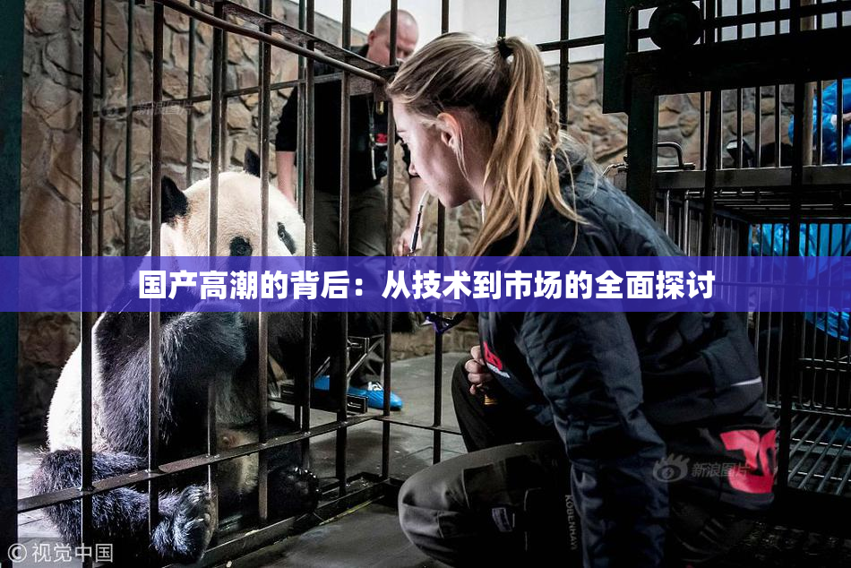 国产高潮的背后：从技术到市场的全面探讨