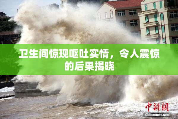 卫生间惊现呕吐实情，令人震惊的后果揭晓