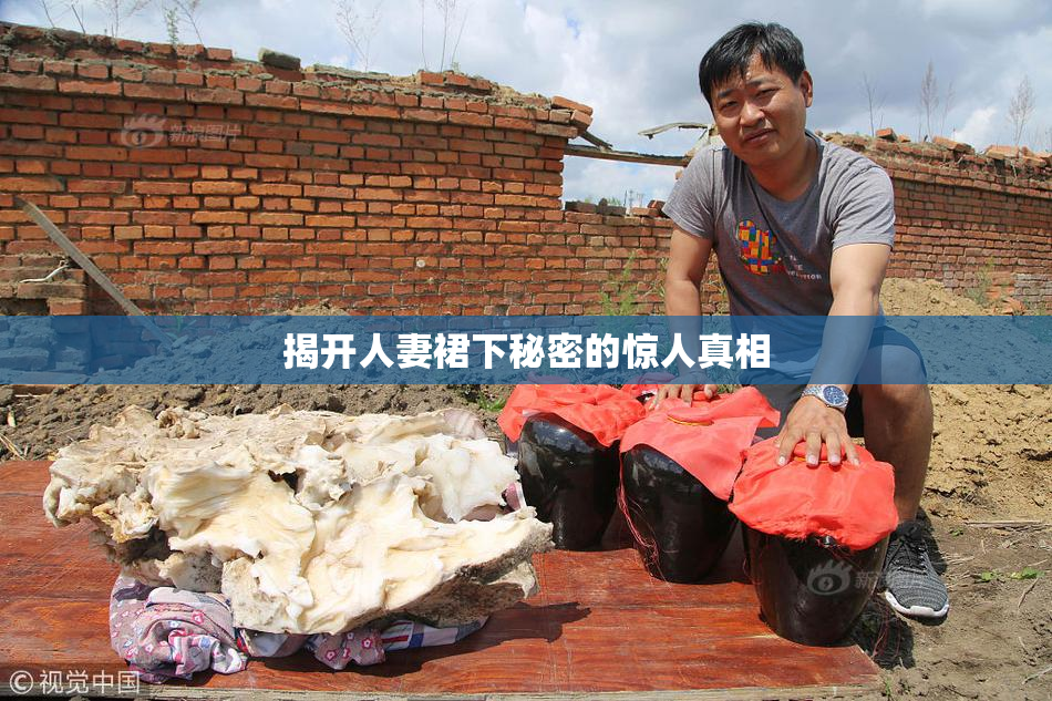 揭开人妻裙下秘密的惊人真相