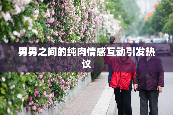 男男之间的纯肉情感互动引发热议