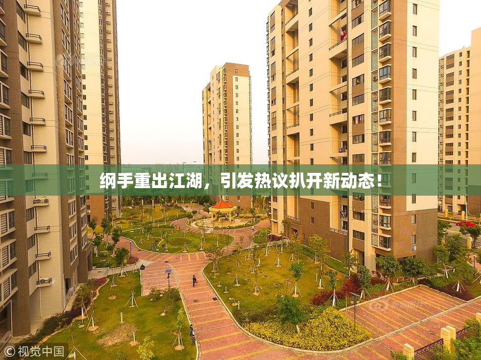 纲手重出江湖，引发热议扒开新动态！