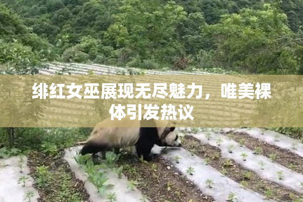 绯红女巫展现无尽魅力，唯美裸体引发热议