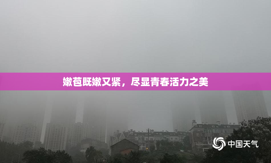 嫩苞既嫩又紧，尽显青春活力之美