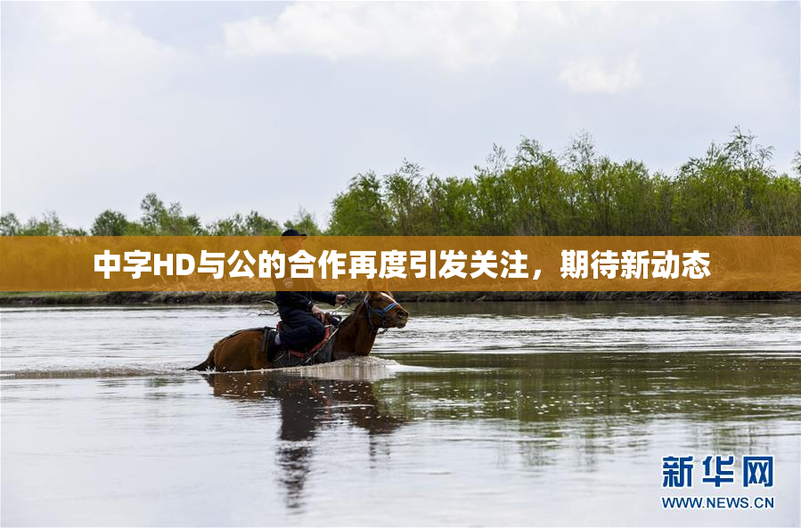 中字HD与公的合作再度引发关注，期待新动态