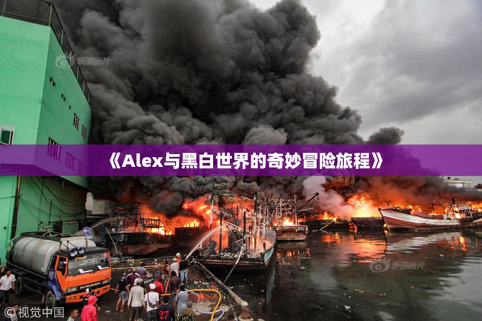 《Alex与黑白世界的奇妙冒险旅程》
