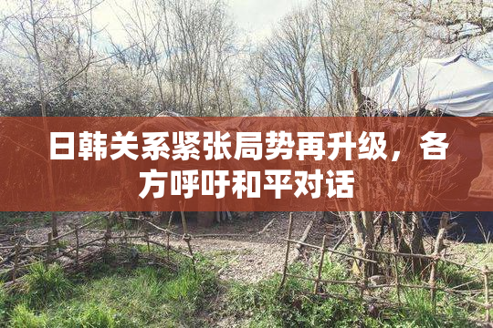 日韩关系紧张局势再升级，各方呼吁和平对话