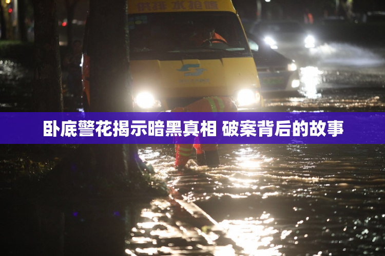 卧底警花揭示暗黑真相 破案背后的故事